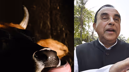 Hang those who kill cows, says Subramanian Swamy in Kolar; will this be applicable to Goa?