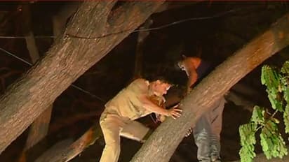 Man recreates Sholay-suicide scene, gets arrested