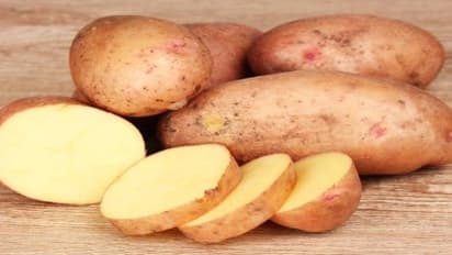 உருளைக்கிழங்கைப் பற்றி நீங்கள் தெரிந்துகொள்ள வேண்டிய சில பொதுவான தகவல்கள்…