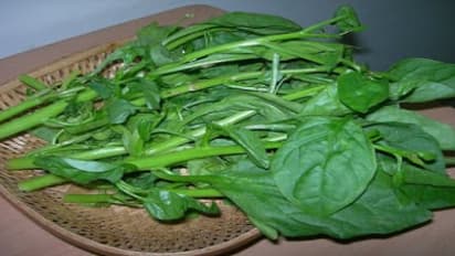 அகத்திக் கீரையில் அடங்கியுள்ள சத்துகள் மற்றும் மருத்துவ பலன்கள்…