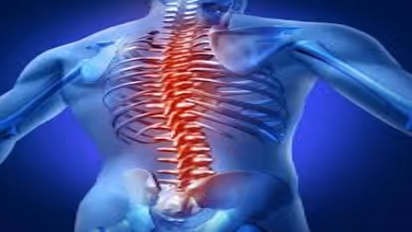 தண்டுவடத்தில் பிரச்சனையா ? கவலை வேண்டாம்