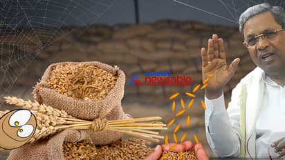 Siddu sham: Rodents, cockroaches feast on Anna Bhagya wheat but CM says it is feeding the hungry