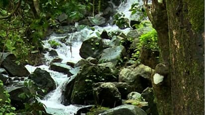 17 ടൂറിസം കേന്ദ്രങ്ങള് ലോക നിലവാരത്തിലേക്ക്, ടൂറിസം മേഖലയ്ക്ക് കിട്ടിയത്