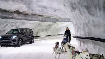 നായ്ക്കളോട് മത്സരിക്കുന്ന ലാൻഡ് റോവർ, വീഡിയോ വൈറല്‍