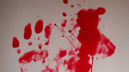 നവവധുവിനെ ഭര്ത്താവ് കല്ലുകൊണ്ട് ഇടിച്ചു കൊന്നു