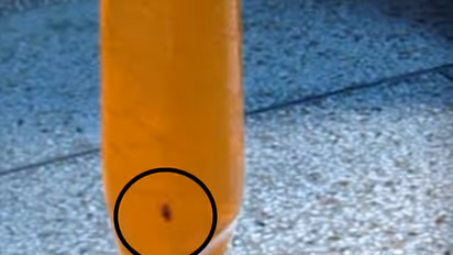 Pepsico India fined after Chennai man finds insects floating in his Mirinda