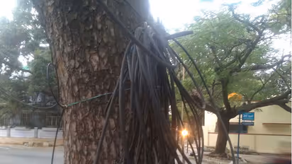 BBMP removes cables on Tendersure roads