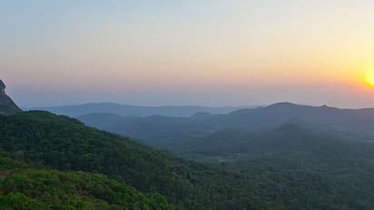 Western ghats under threat: Karnataka mulls felling over 2 lakh trees