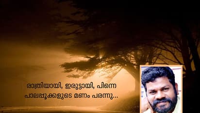 രാത്രിയായി, ഇരുട്ടായി, പിന്നെ,  പാലപ്പൂക്കളുടെ മണം പരന്നു...