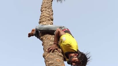 (ವಿಡಿಯೋ) ಈ ವ್ಯಕ್ತಿ ತಲೆಕೆಳಗಾಗಿ ಮರವೇರುತ್ತಾನೆಂದರೆ ನಂಬಲಸಾಧ್ಯ!