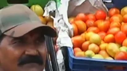 Red Alert? Armed guards called to secure tomato sale in Madhya Pradesh