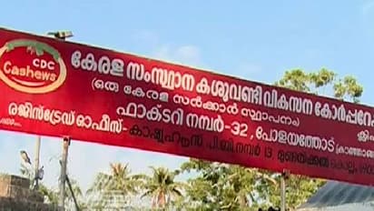 കശുവണ്ടി വികസന കോർപ്പറേഷനെതിരെ വിജിലൻസ് അന്വേഷണം