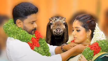 Open Letter: Why Dileep GO(A)T love all wrong