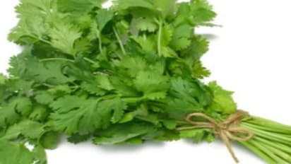 தேகத்திற்கு அழகையும் மினுமினுப்பையும் தரும் கீரை பற்றி தெரியுமா?