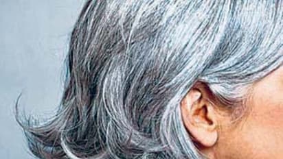 உங்களுக்குத் தெரியுமா? அகத்திக்கீரை பொடியை மோரில் கலந்து குடித்தால் இளநரையை போக்கலாம்...