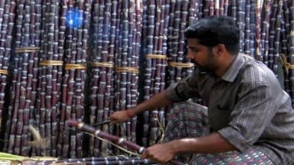 நீடித்த நவீன கரும்பு சாகுபடி செய்வதால் கிடைக்கும் பயன்கள் இதோ…