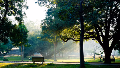 No PDA, no food and no games... Bengaluru's Cubbon Park has new rules now; details here