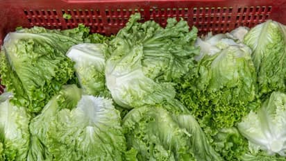 Edible Garden Stock Surges After Private Placement Sparking Retail Chatter