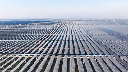 N2OFF Stock Surges As Nasdaq Grants 180-Day Extension To Regain Compliance: Retail Sentiment Mixed