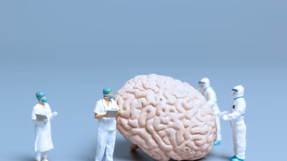 Cassava Sciences Stock Craters After Alzheimer’s Disease Trial Flops: Retail’s Devastated