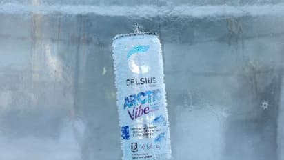 Celsius Holdings Stock Slips on Lowered Price Target: Retail Stays Bullish