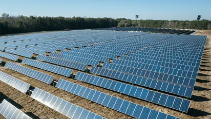 Pineapple Energy Stock In Focus After Rebrand To ‘Sunation’: Retail’s Wary