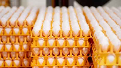 Cal-Maine Foods Stock Surges On Q2 Earnings Beat Amid Egg Supply Crunch: Retail Sentiment Brightens