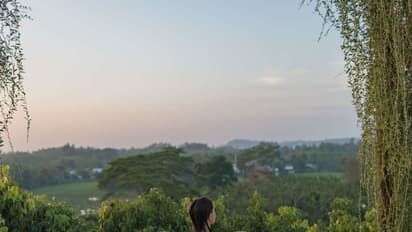 Digital Brands Announces Reverse Stock Split, Sparks Retail Chatter