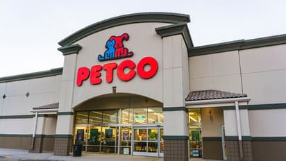 Petco Stock In Focus Ahead of Q3 Earnings: Retail’s Bullish 