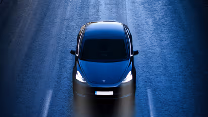 Tesla Stock Rises Even As Goldman Sachs Sees No Delivery Growth This Year: Retail Cautious