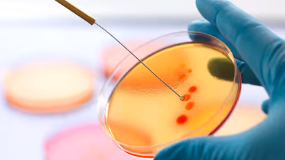 Small-Cap Biotech Absci Draws Heavy Attention On $20M AMD Investment Pledge, Retail's Bullish Despite Pre-Market Dip