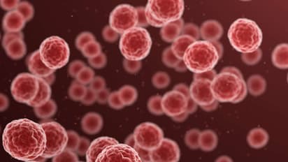 Cel-Sci Stock Slips After Public Offering: Retail's Neutral