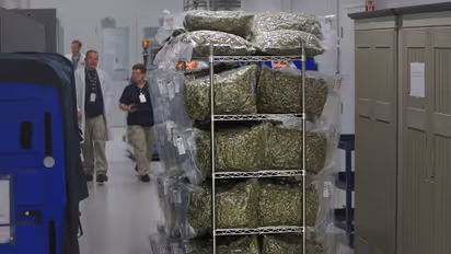 Canopy Growth Stock Rises As Acreage Acquisition Comes To A Close: Retail Eyes More Upside