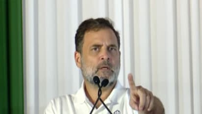 Congress MP Rahul Gandhi (Photo/ANI)