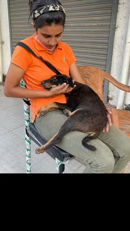 सिमरन का घर बना रेस्क्यू सेंटर