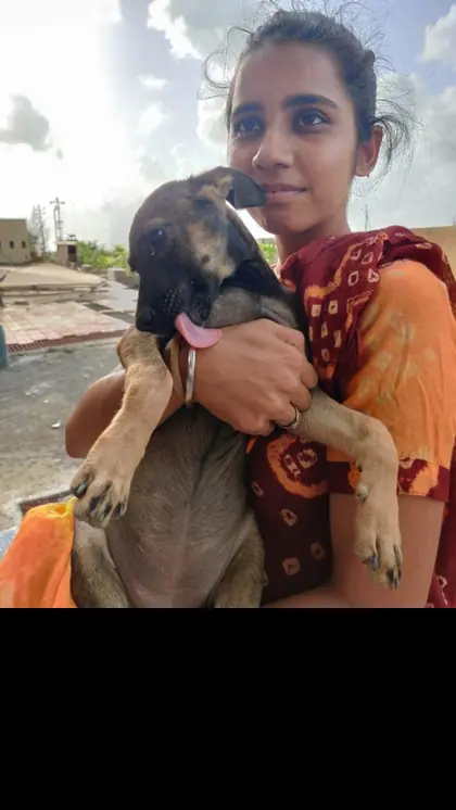 मुंबई की हरसिमरन कौर ने बेज़ुबान जानवरों के लिए अपना घर बेच दिया।