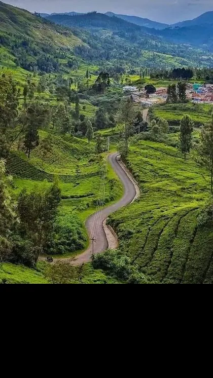 हीट वेव को कहें बाय-बाय, समर वैकेशन में सैर करें पहाड़ो की रानी ऊटी की