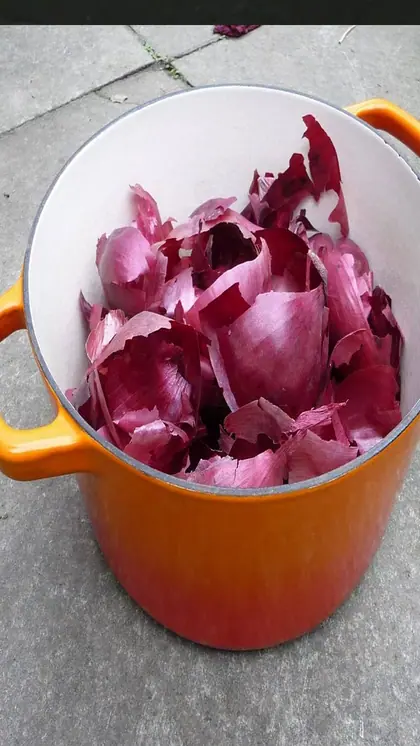 क्या आप जानते हैं? प्याज के छिलके हैं असली सुपरफूड, कैसे करें यूज