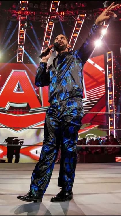 Seth Rollins business