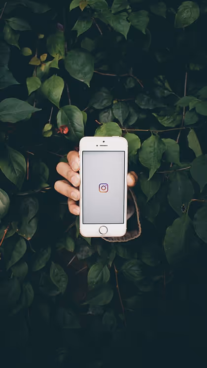 How much did it earn in 2021?