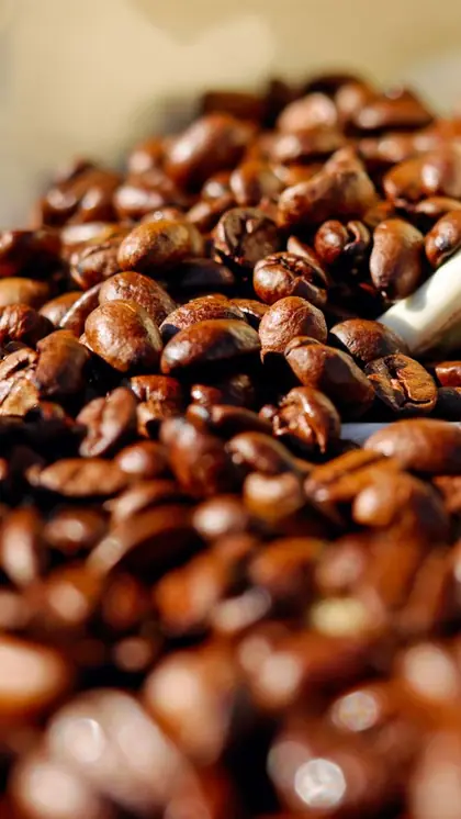Coffee vs Caffeine