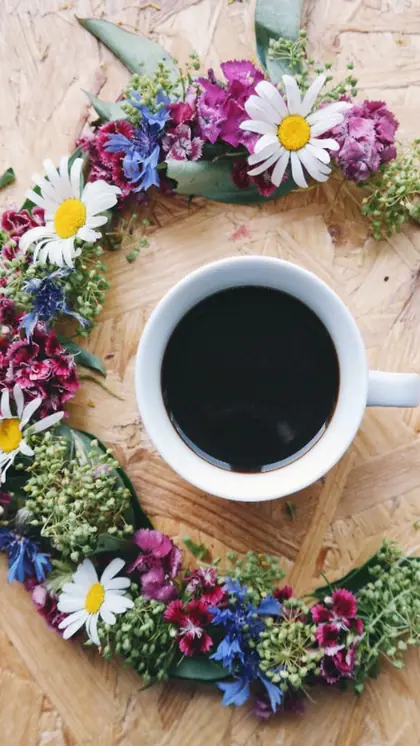 Understanding wakefulness effect