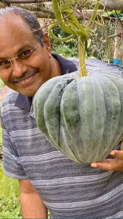 डॉ. प्रभाकर राव प्रिजर्व कर रहें सीड्स
