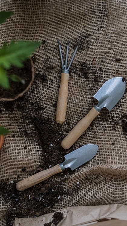 Step 2: Prepare the Soil