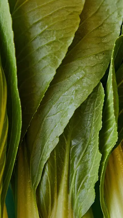 Nutrient gaps: 7 plant-based diet that can impact you