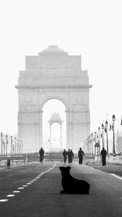 दिल्ली यूनिवर्सिटी में कामर्स में दाखिला लेकर सीए की तैयारी