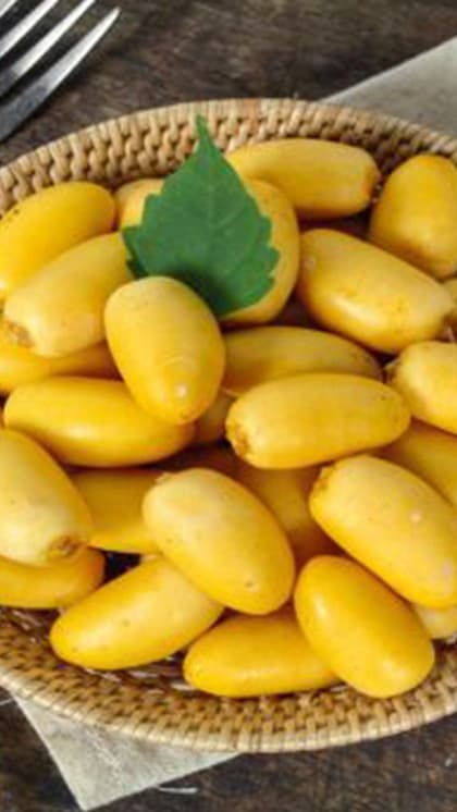 Avoid Raw Date Palm Sap: