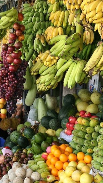 Empowering Farmers