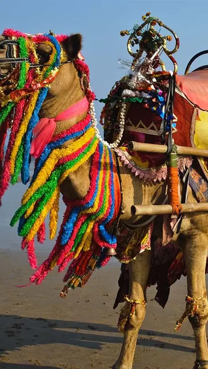Puri Beach, Odisha