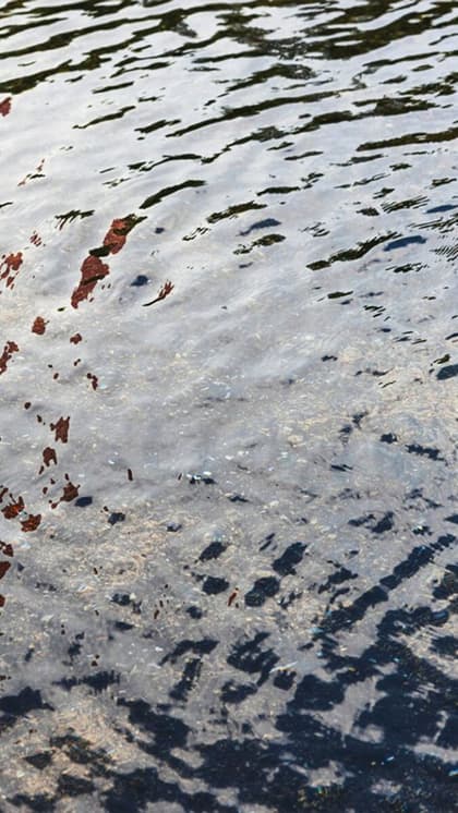 Eliminate Standing Water